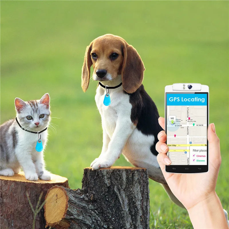 GPS  Para Animais Domésticos